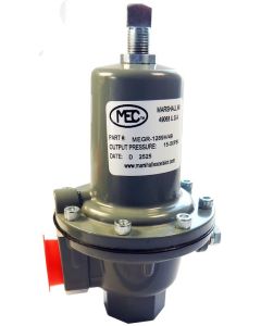 1" FNPT Back Pressure Regulator
